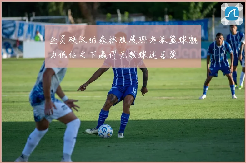 全员硬汉的森林狼展现老派篮球魅力低估之下赢得无数球迷喜爱