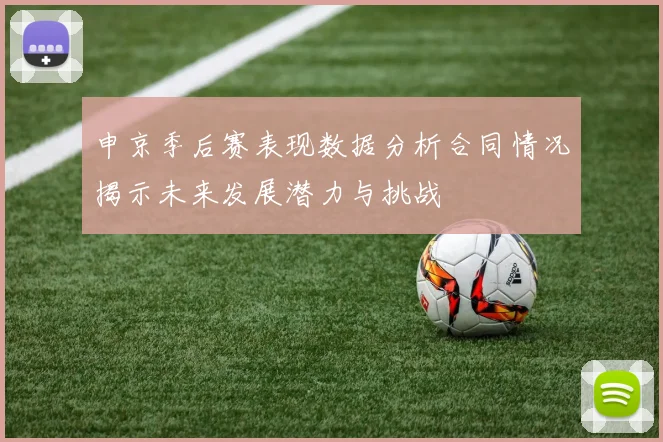 申京季后赛表现数据分析合同情况揭示未来发展潜力与挑战